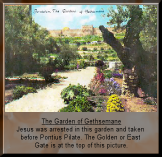 The Garden of Gethsemane